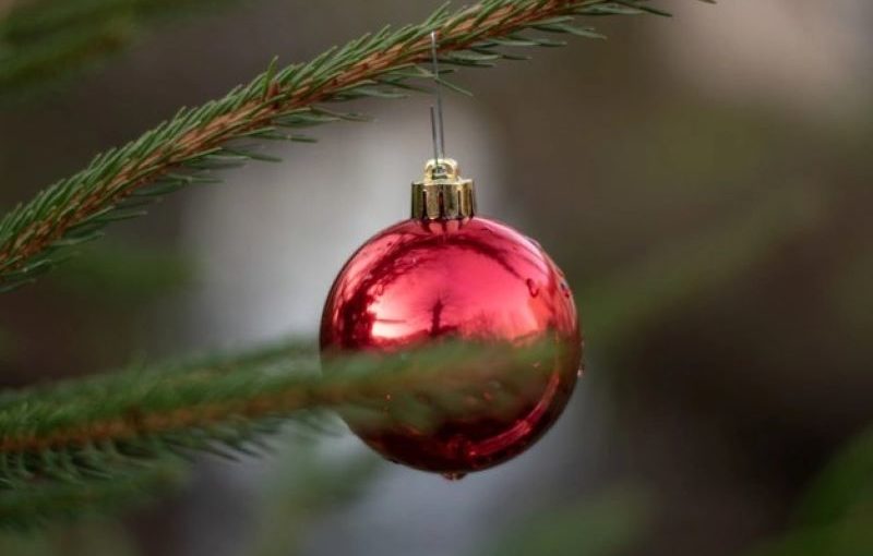 big red ball on tree